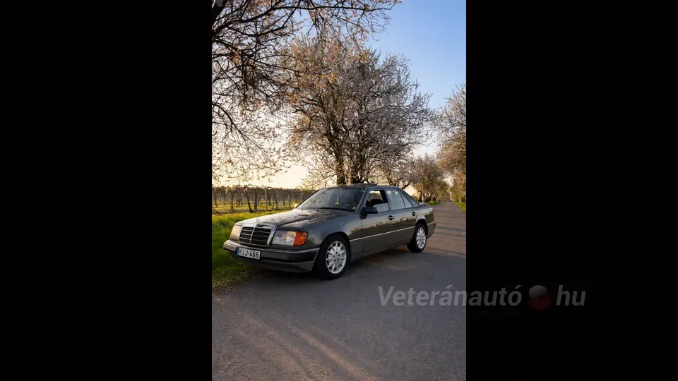 Mercedes w124